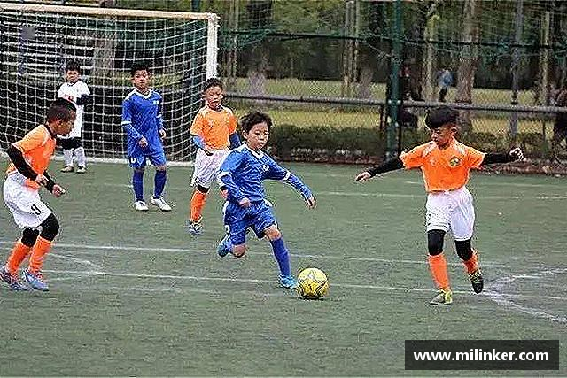 认识bevictor伟德